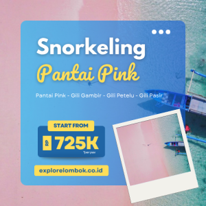 Tour Harian Pantai Pink